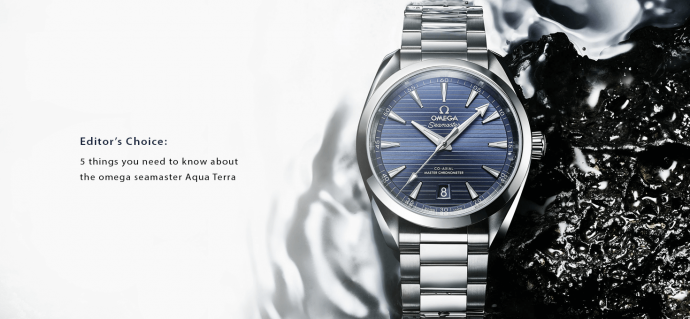 Omega Seamaster Aqua Terra 
