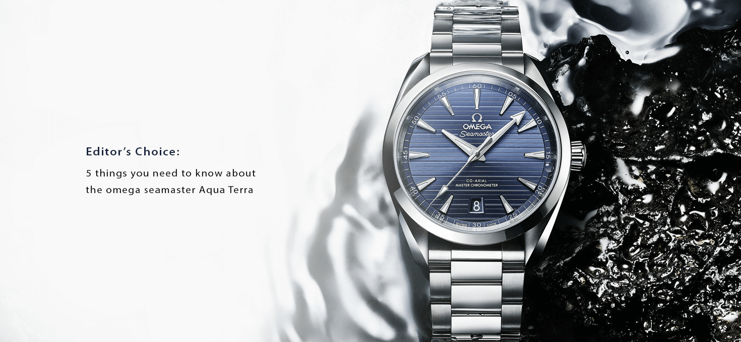 Editorâ€™s Choice: 5 Things You Need To Know About The Omega Seamaster Aqua  Terra - Kapoor Watch Blog