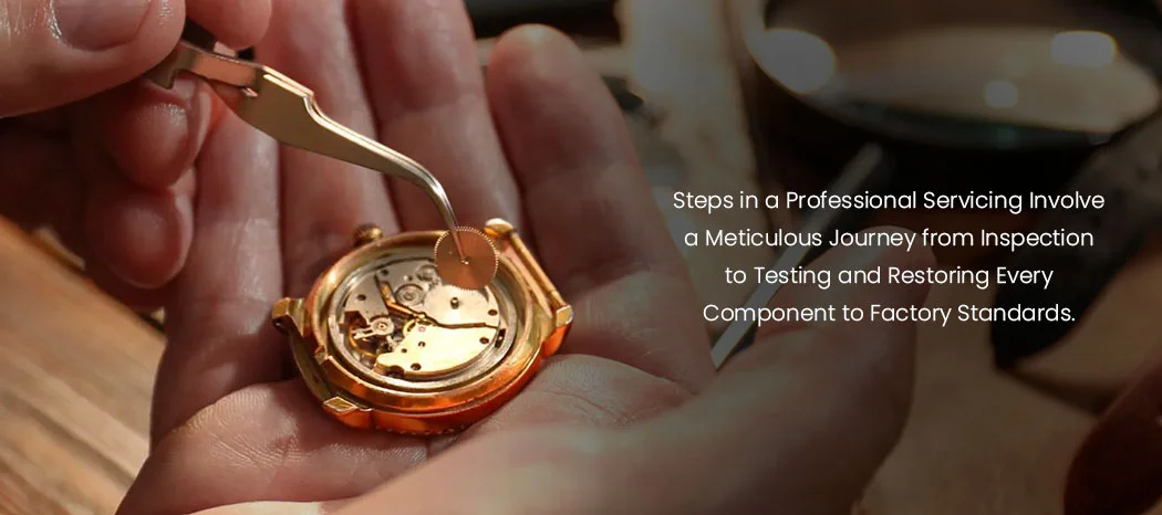 Step-by-step Process of Professional Servicing