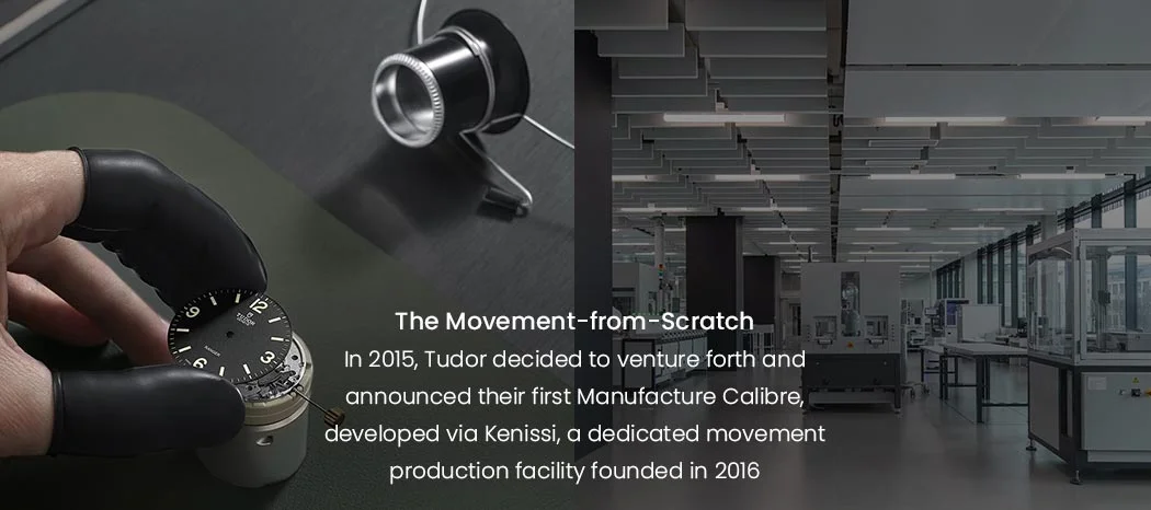 The Movement-from-Scratch (2015)
