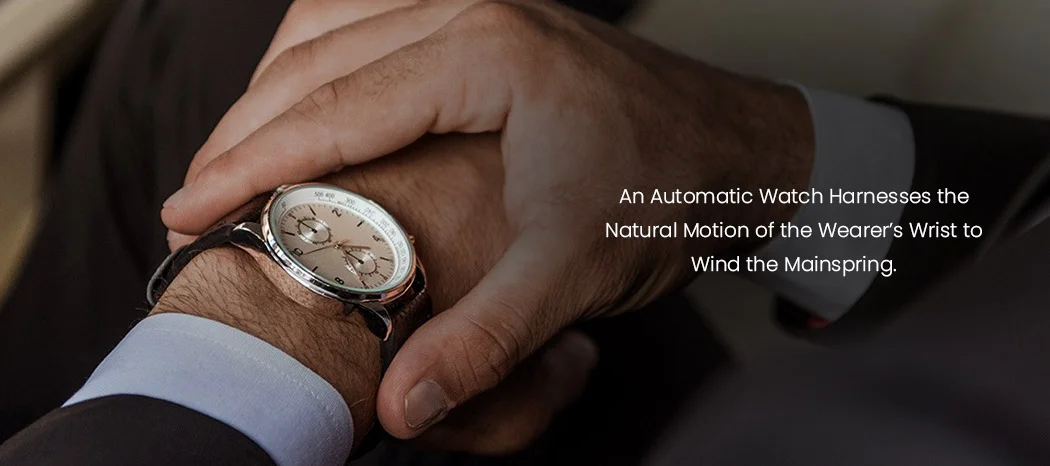 Automatic Watch Harnesses