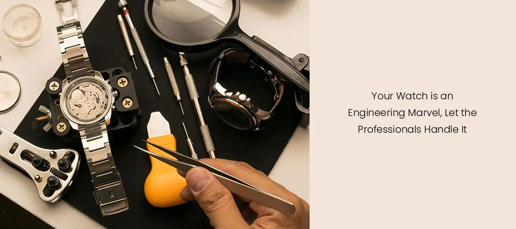 Schedule Professional Servicing