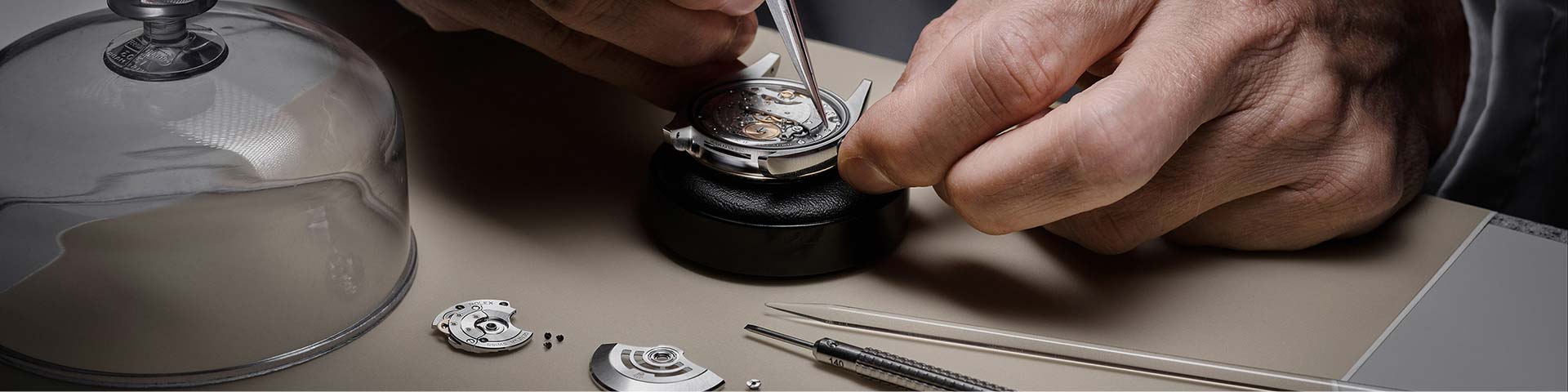 Rolex Servicing